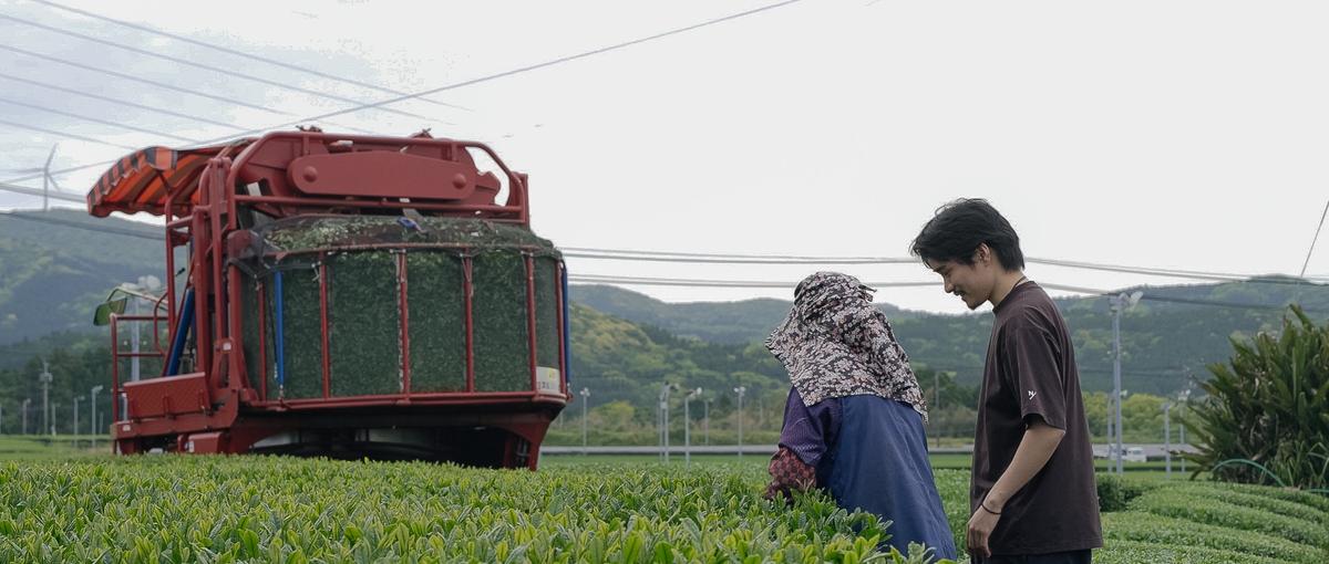  日本のお茶を世界へ！新規事業立ち上げメンバー募集