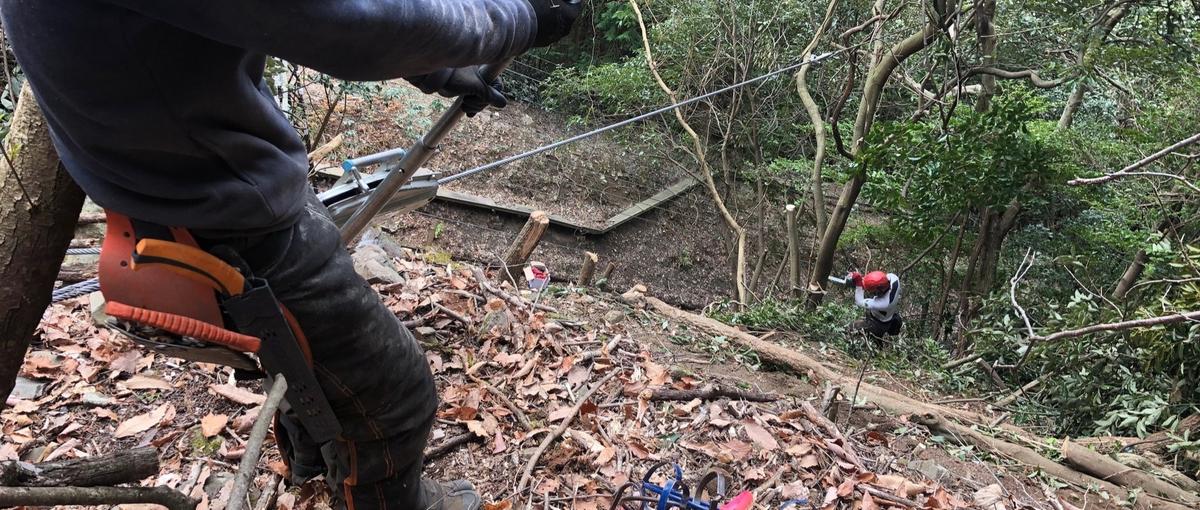 植えて、育てて、森をつなぐ。京都で山の手入れを担う造林スタッフ募集