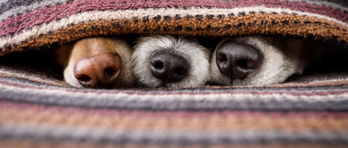 スピード感あるベンチャーで成長したい！複数の営業ポジションをご提案！