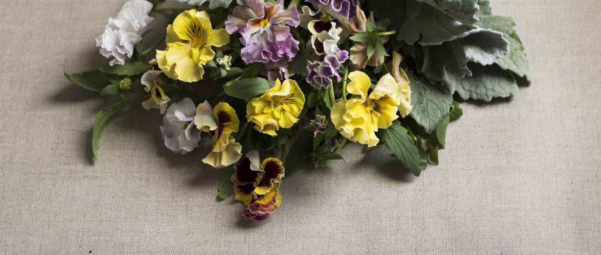 花屋を支えるバックオフィススタッフ募集