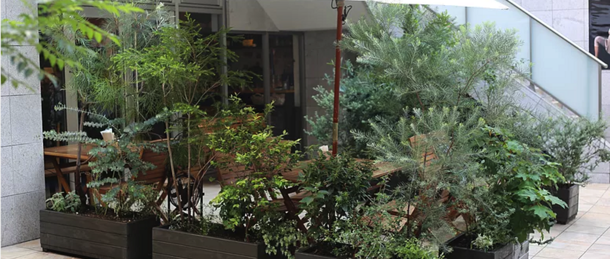 植物のある暮らしと空間をつくる植栽スタッフ募集！