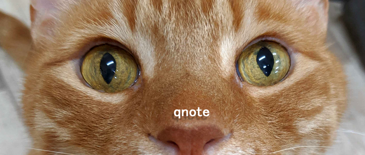 柔軟な職場環境すぎて猫と働ける会社がPMを募集！！