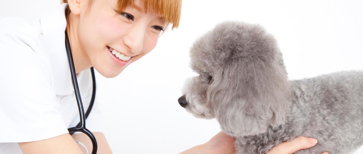 9期目の急成長中ベンチャー企業で一緒に成長しませんか？