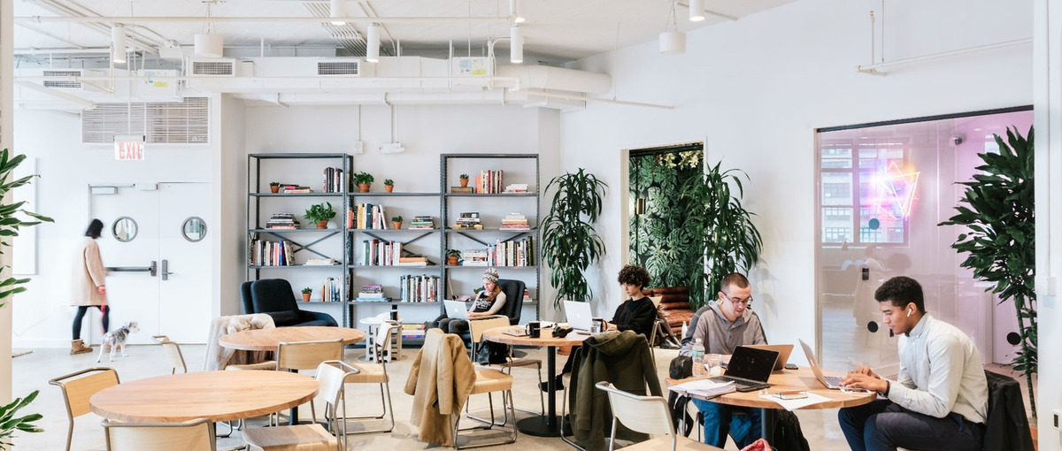 新規事業立ち上げ！400億円規模の大型メディアを運用・改善しませんか？ 