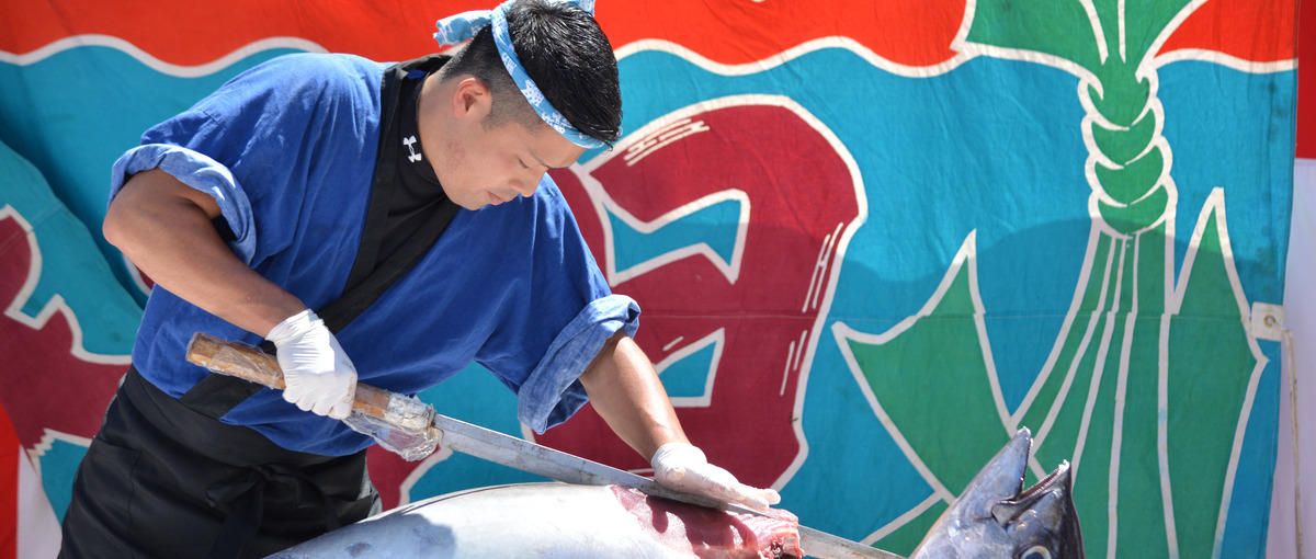 日本全国へマグロ解体ショー！職人さん大募集！！