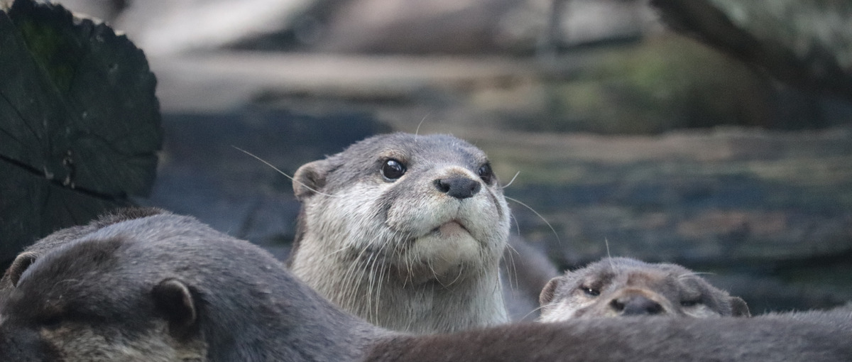 会社選びの基準とは？