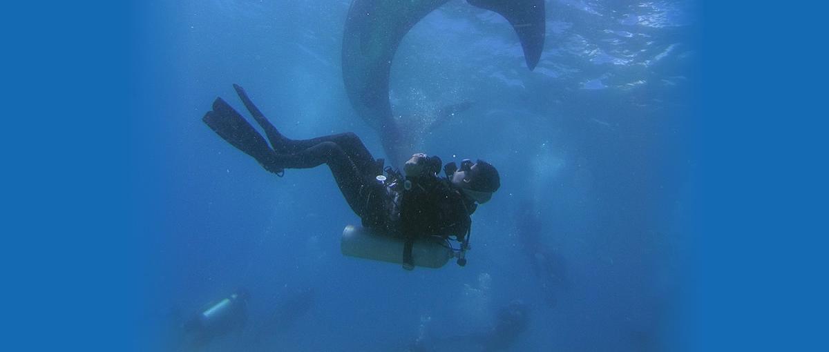 スキューバダイビング器材の企画開発してテストダイビングに行きたい方募集