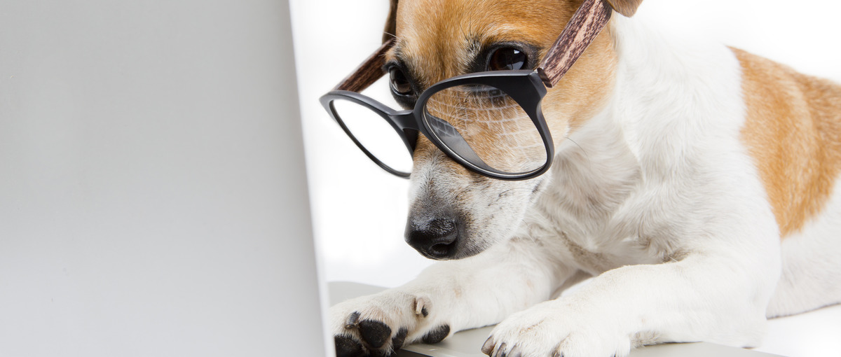 WEBエンジニアになれる環境を完備！経験なし、初心者大歓迎！