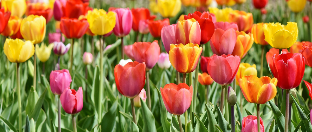 地方で活躍したい営業責任者候補を募集！富山県にて！