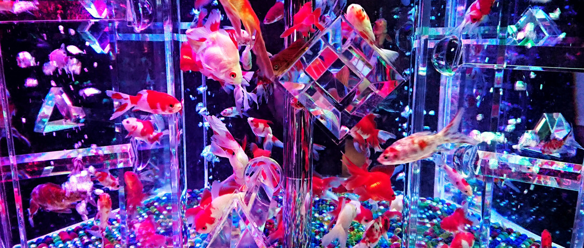 今月は積極採用します！必要な要件は僕らと一緒にゴールを目指せる方！