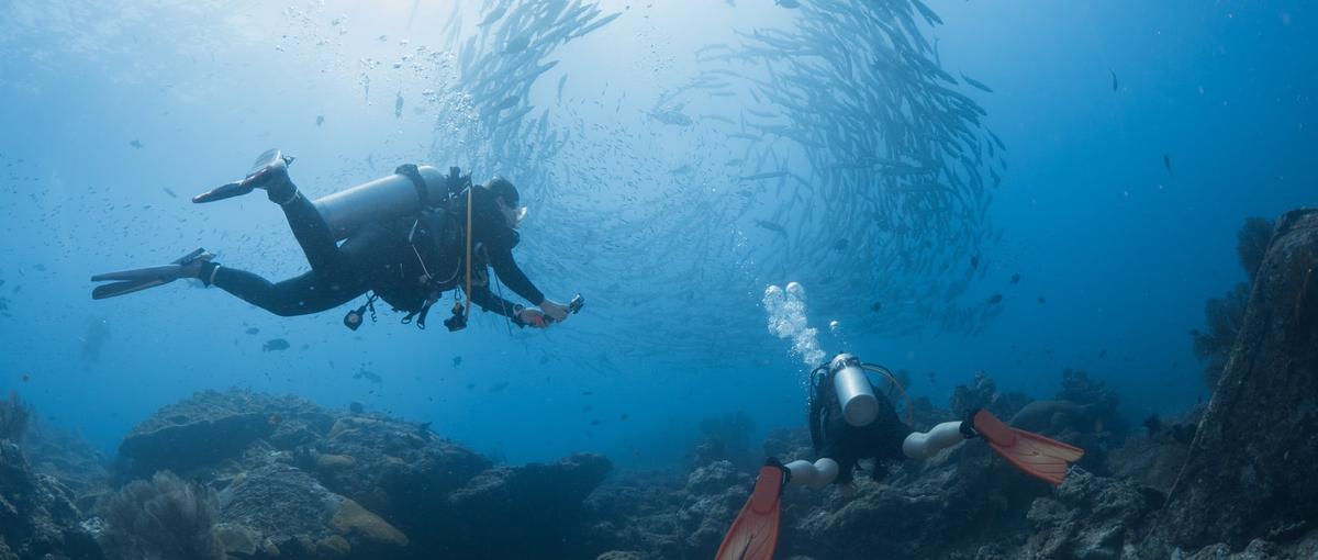 接待も製品テストもダイビング！潜水機材メーカーの営業兼マーケティング募集