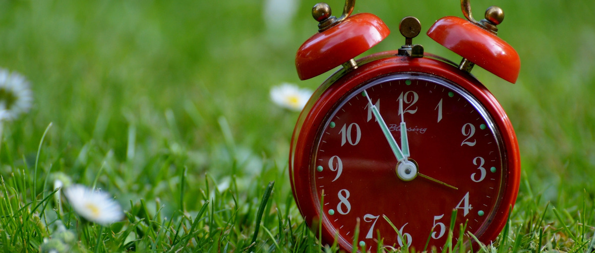 ゼロからWEBデザイナーを目指す方募集！教育と実践で目指す自分へ