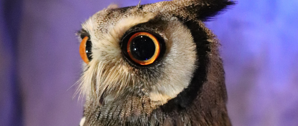 第二新卒大歓迎！若い社員で会社作りをしています！