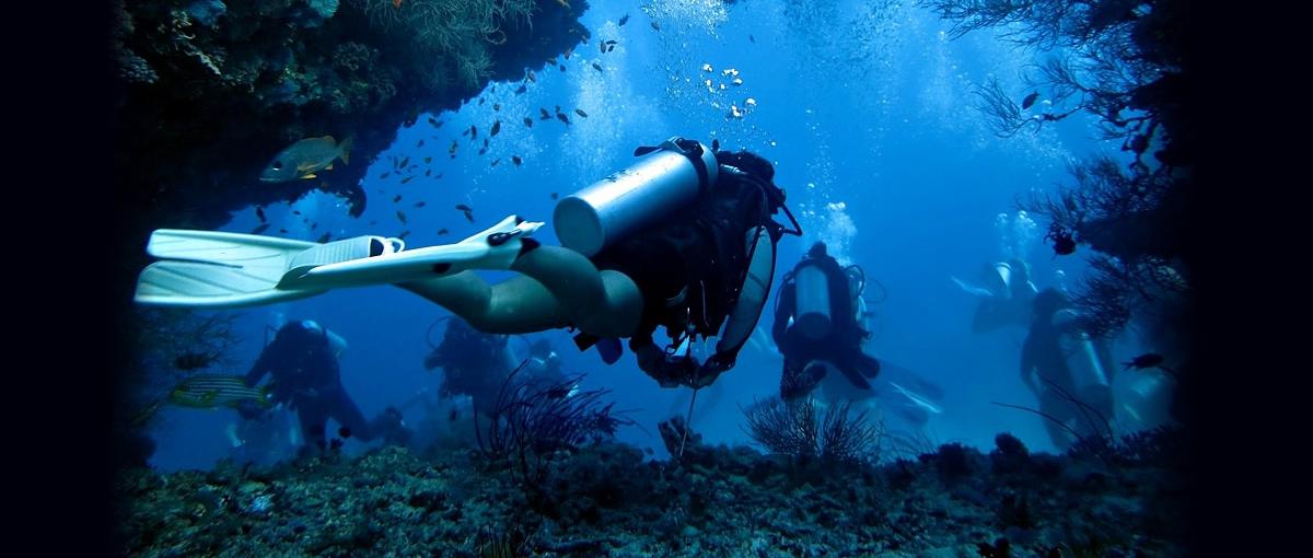 接待はゴルフよりダイビング！潜水機材メーカーの営業兼マーケティング募集