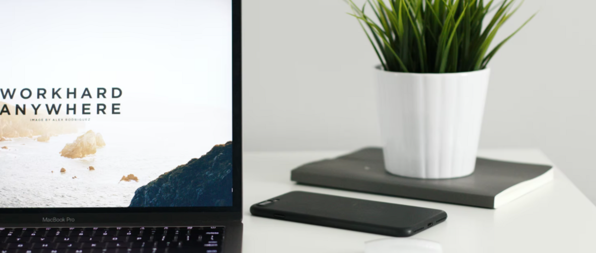 独学のみでもOK！スタートアップで働きたいWebエンジニア！