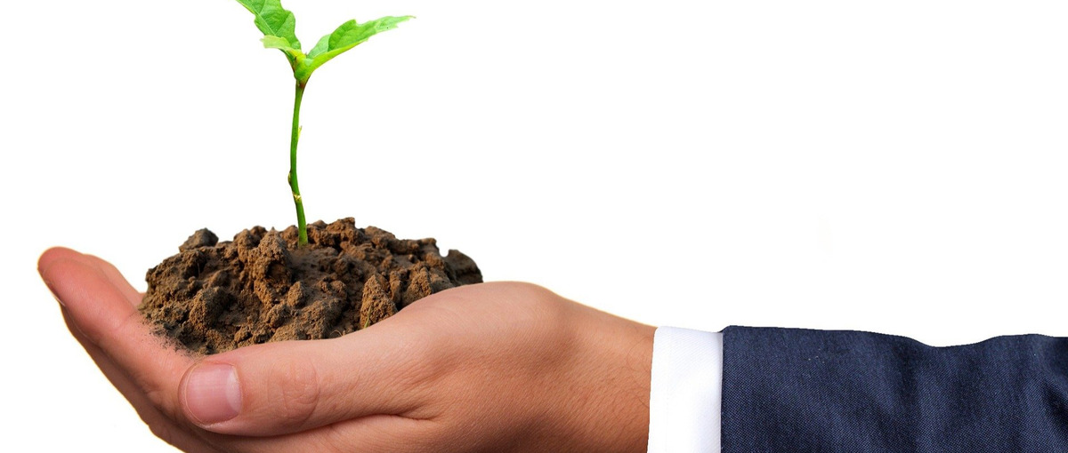 新規サービス立上げ、自社開発サービスのセールス募集！