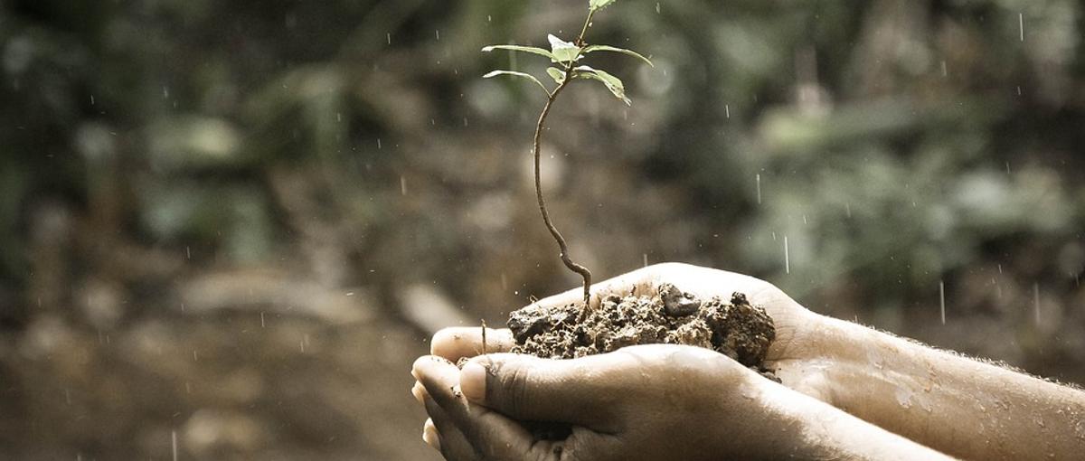 新たな成長を望む方募集　ITに特化した人材コンサルティング