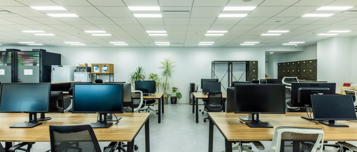 Webディレクター募集ブランディングとUXに特化したデザインコンサルです!