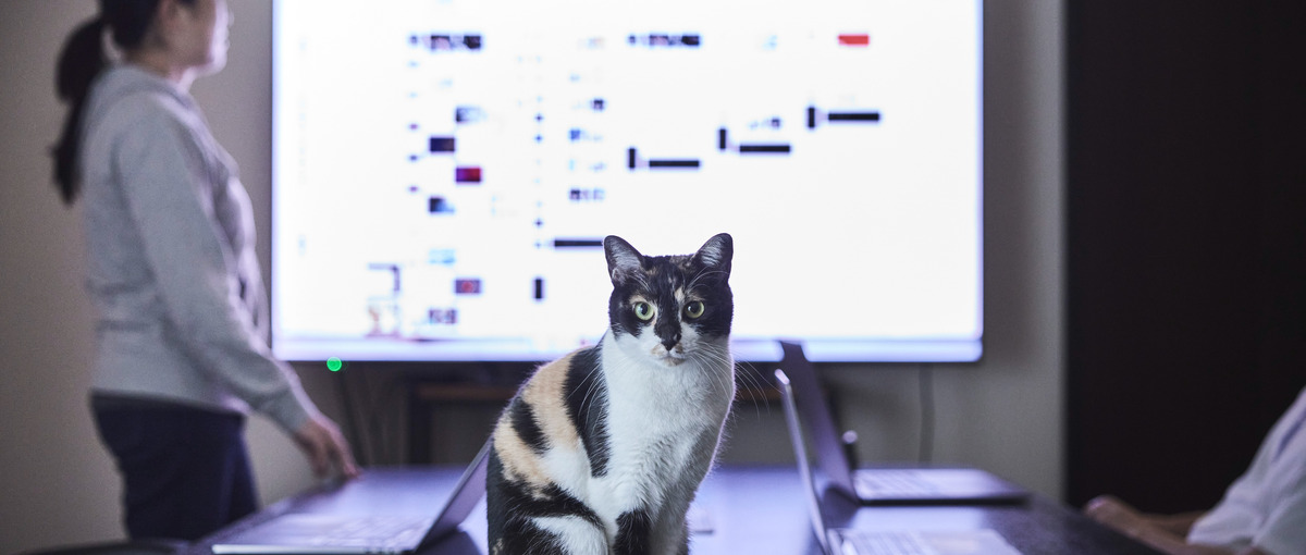 AWSを使いこなすDevOps/クラウドインフラエンジニアWANTED！