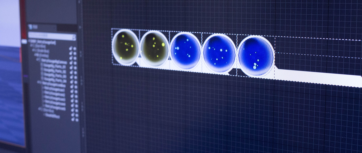 UE5でコンソールアクションゲーム開発、UIデザイナー募集！