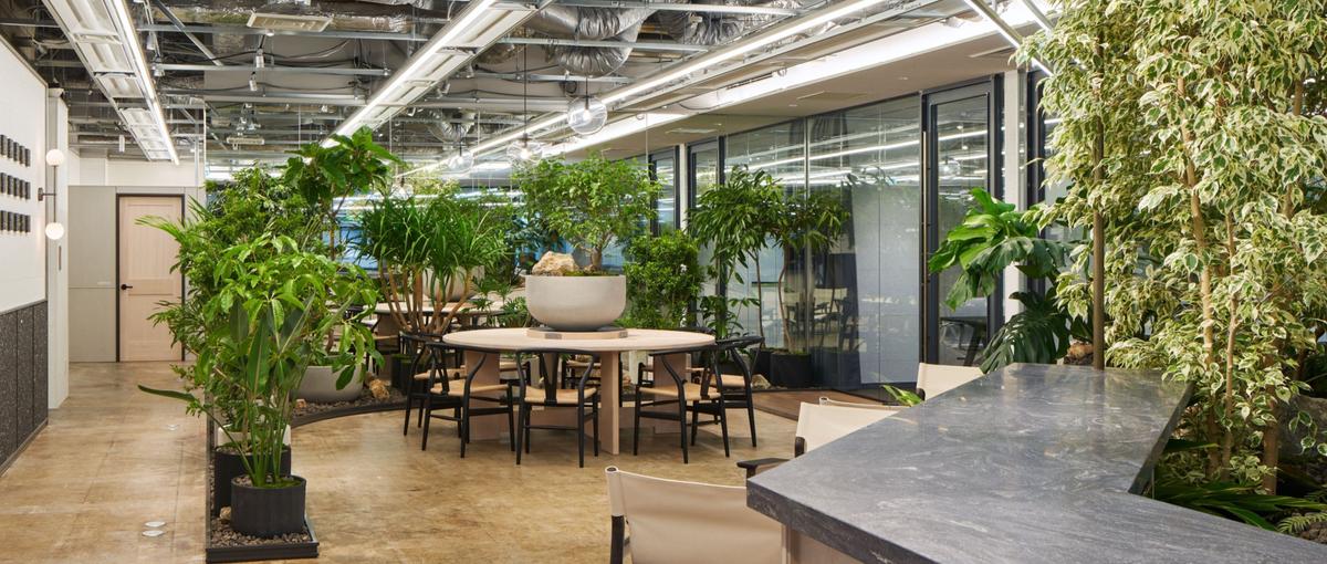 渋谷のエンタメ系ベンチャー企業でインサイドセールスを募集！