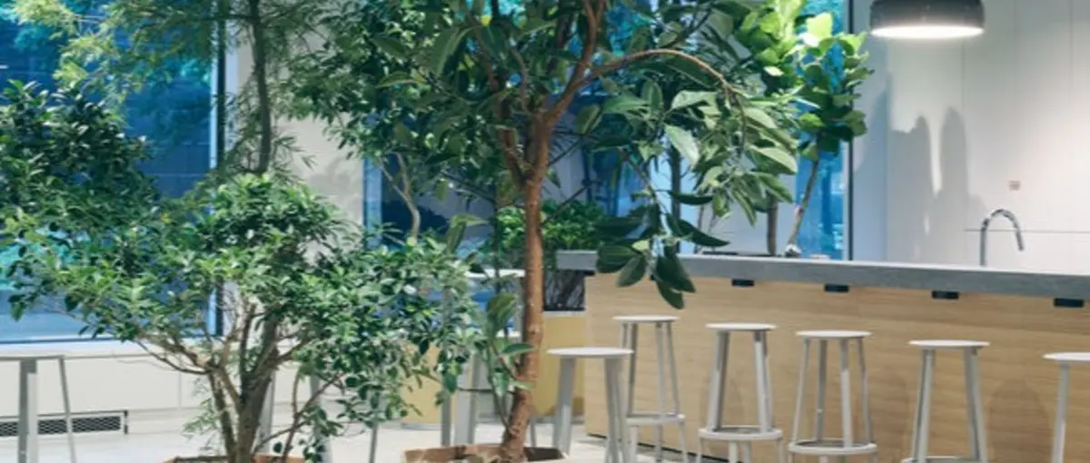 NewsPicks｜マーケティングサポートインターン