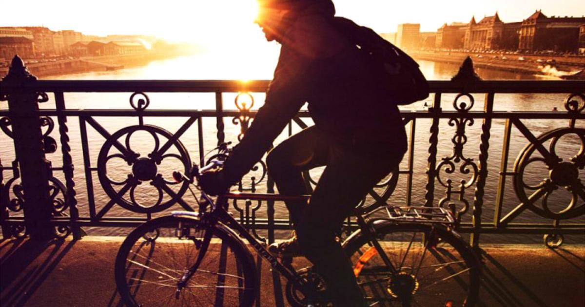 白紙の地図を片手に 中沢 新のプロフィール Wantedly