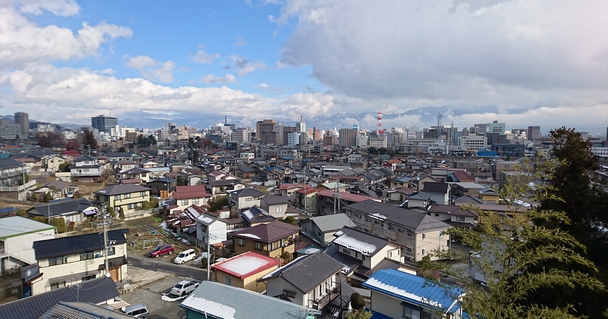 イナゴについて色々 株式会社日本システム技研