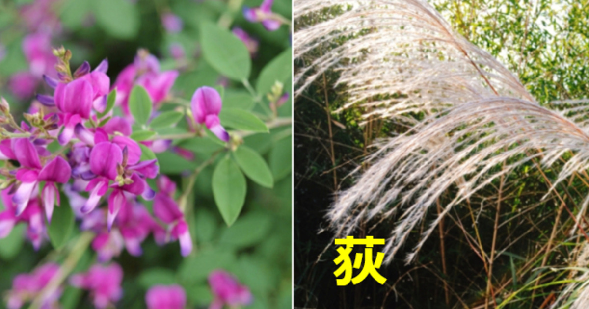荻萩あるある 紛らわしいと思う漢字を持つわたし 株式会社アプレ
