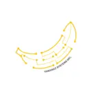 Vananaz Technologies Inc.の会社情報