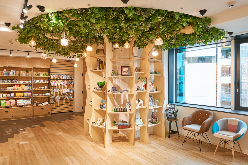 Дизайн школьной библиотеки. Library tree. Library tree. Двухэтажная библиотека. Деревянная библиотека.