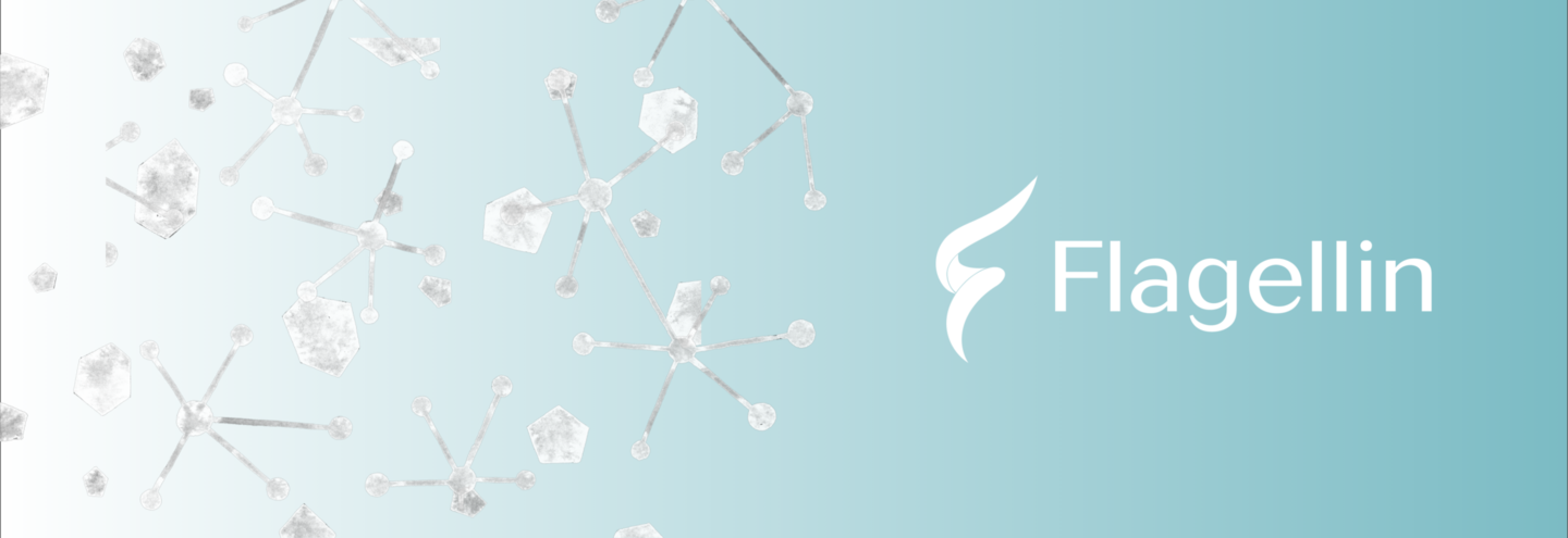 株式会社フラジェリンの会社情報 Wantedly