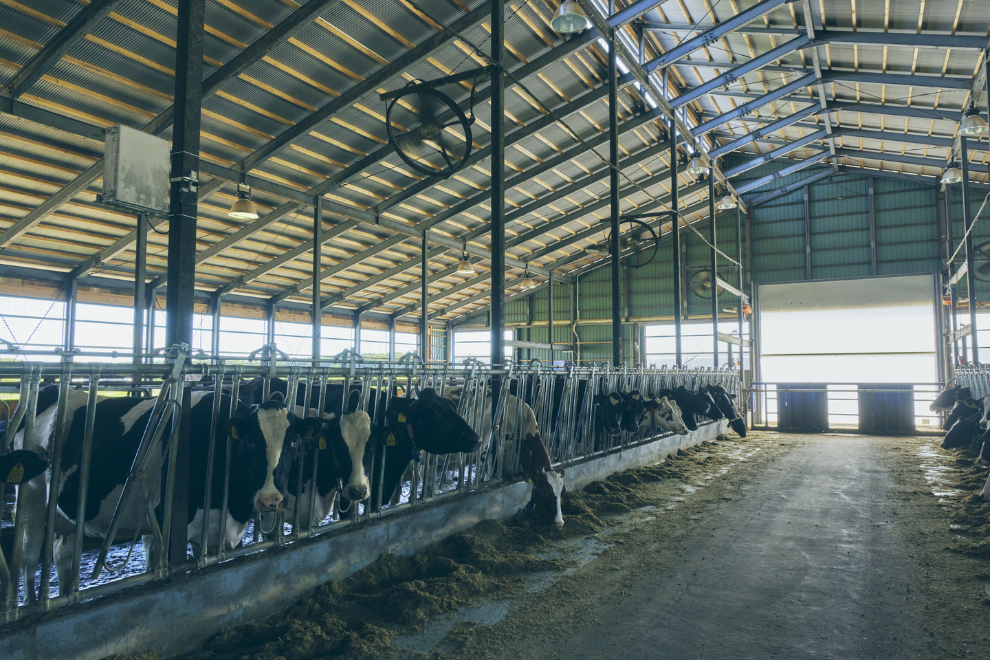 株式会社ファームノートの会社情報 Wantedly