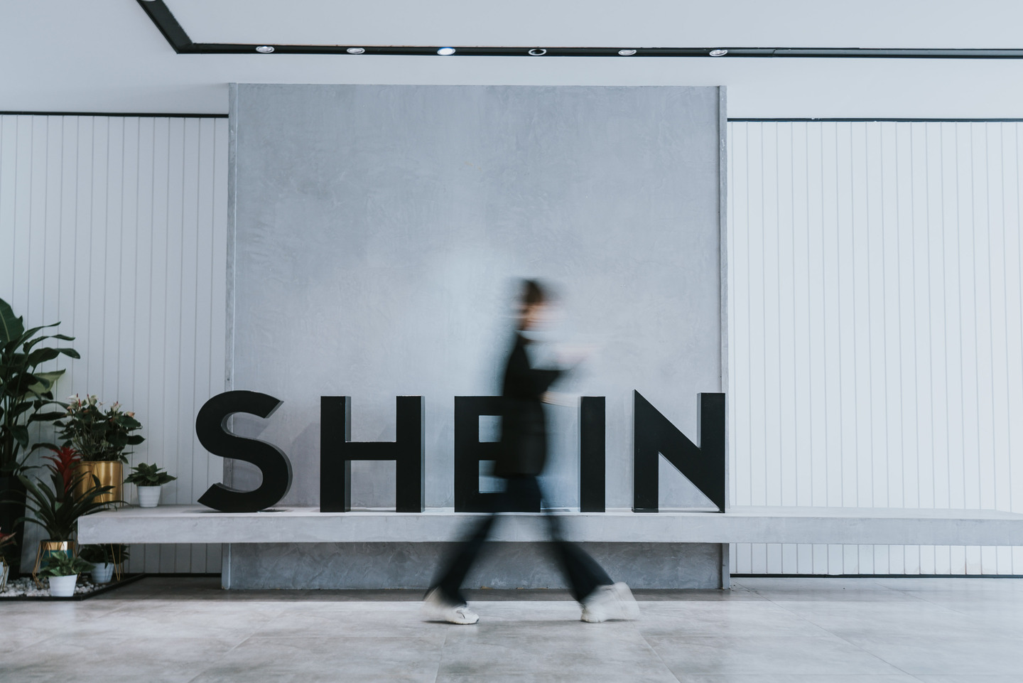 Shein Japan株式会社の会社情報 Wantedly