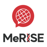 MeRISE株式会社の会社情報