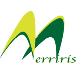 株式会社merririsの会社情報