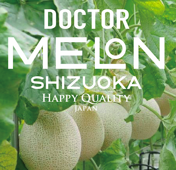 専用Dr.Melon R ドクターメロンアール2箱