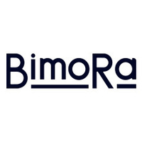 株式会社BimoRaの会社情報