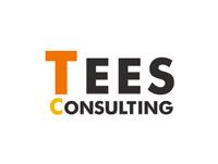 株式会社ティーズコンサルティングの会社情報