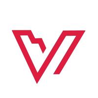 About Vision Organisation