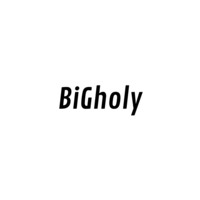 About 株式会社BiGholy