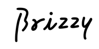 株式会社Brizzyの会社情報