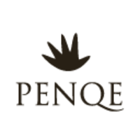 About 株式会社PENQE