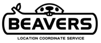 株式会社BEAVERSの会社情報