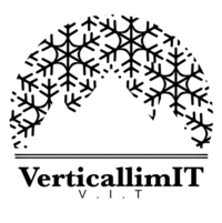VerticallimIT株式会社の会社情報