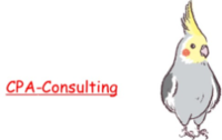 合同会社CPA-Consultingの会社情報