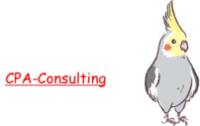 About 合同会社CPA-Consulting