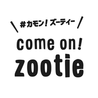有限会社ズーティーの会社情報