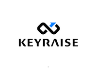 About 株式会社キーレイズ
