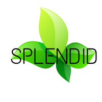 株式会社SPLENDIDの会社情報